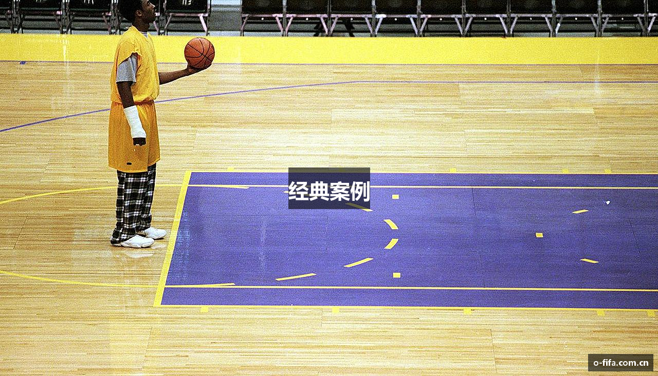 经典案例